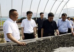 王樹(shù)平、姜長(zhǎng)龍到白石山和紅石林業(yè)公司 調(diào)研強(qiáng)調(diào)深入落實(shí)“雙主業(yè)”發(fā)展戰(zhàn)略 大力推動(dòng)集團(tuán)持續(xù)健康高質(zhì)量發(fā)展